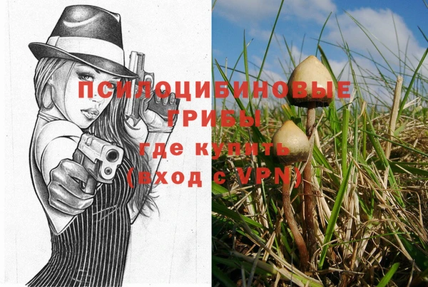 стаф Нефтекумск