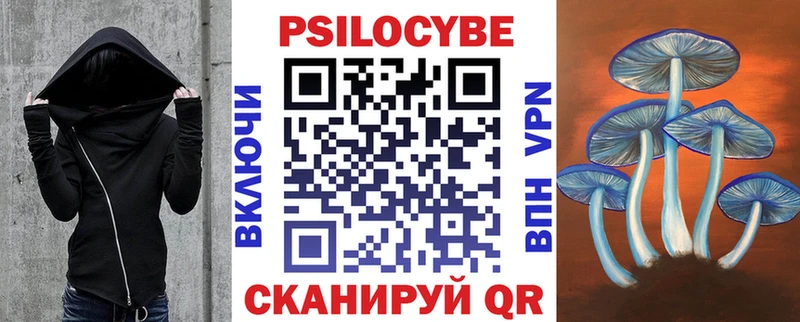 Купить  Чапаевск  Псилоцибиновые грибы Cubensis 